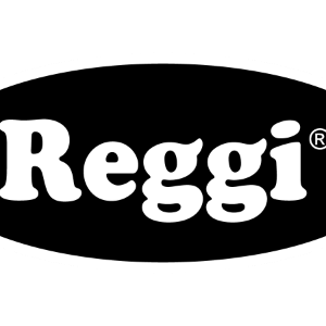 MOTOS REGGI